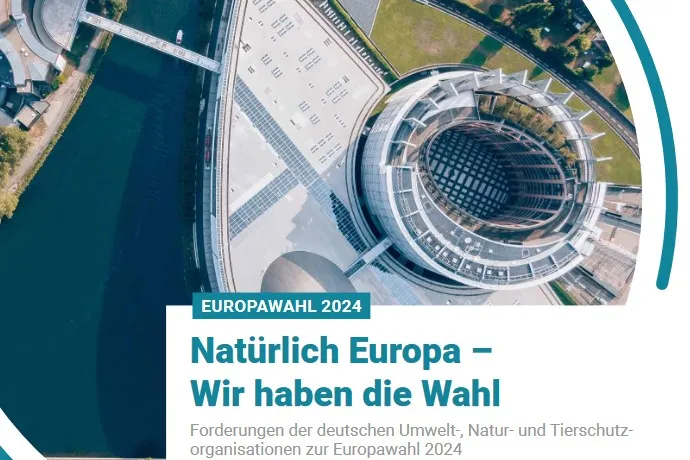 Screenshot vom Titelblatt der Europawahlforderungen des DNR und 96 seiner Mitgliedsverbände